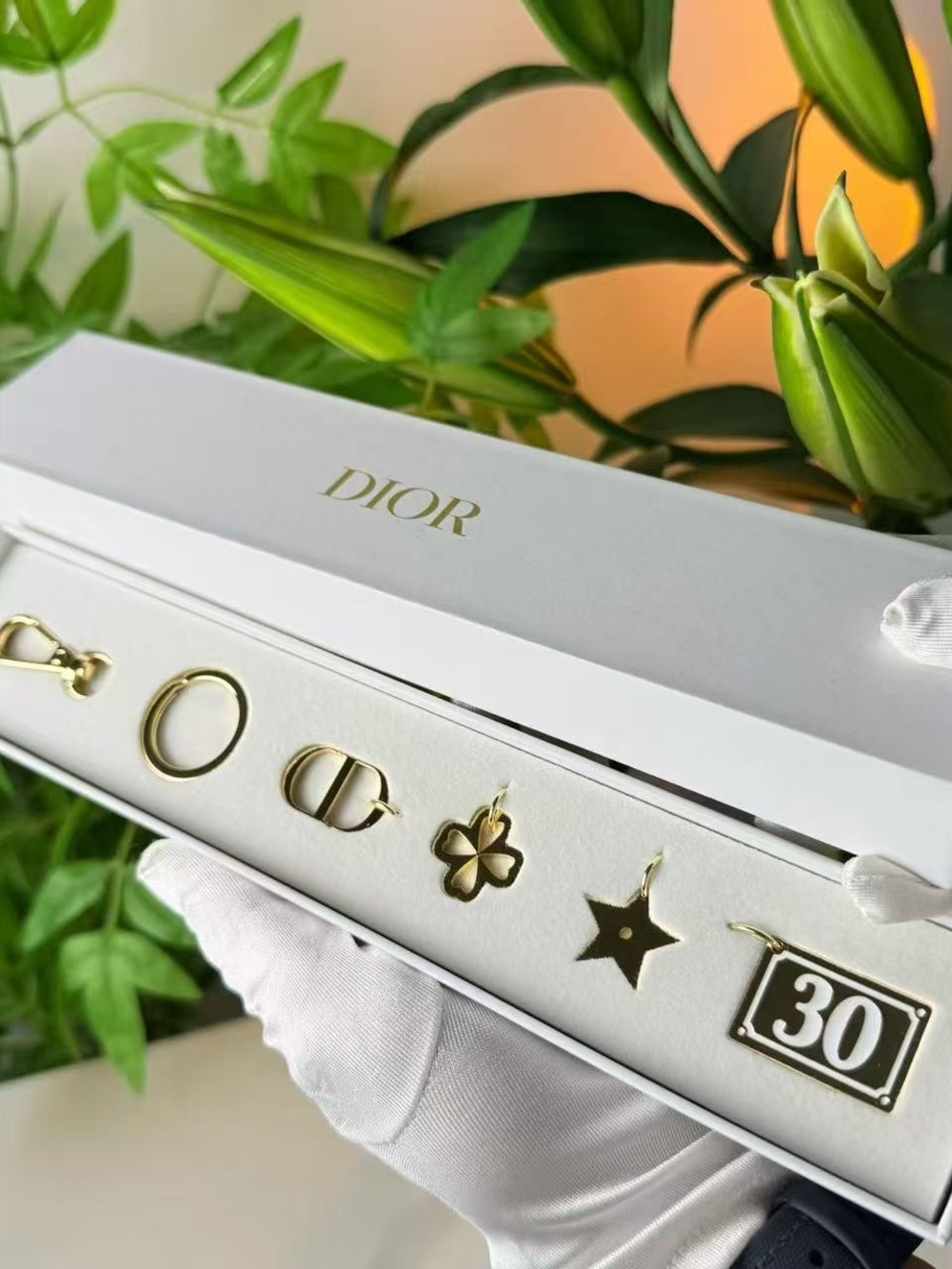 Dior beauty charm set